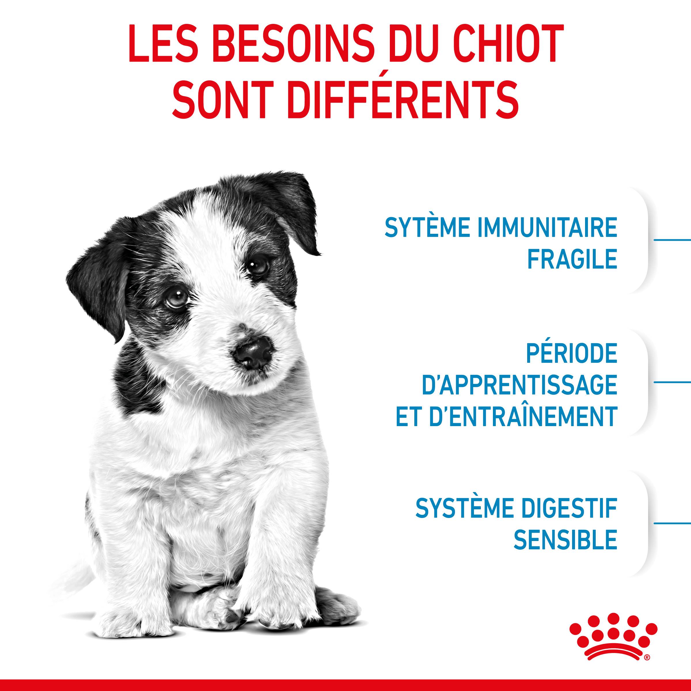 Royal Canin - Croquettes chien chiot Royal Canin Mini jusqu'à 10 mois 800g - ROYAL CANIN - Image 10