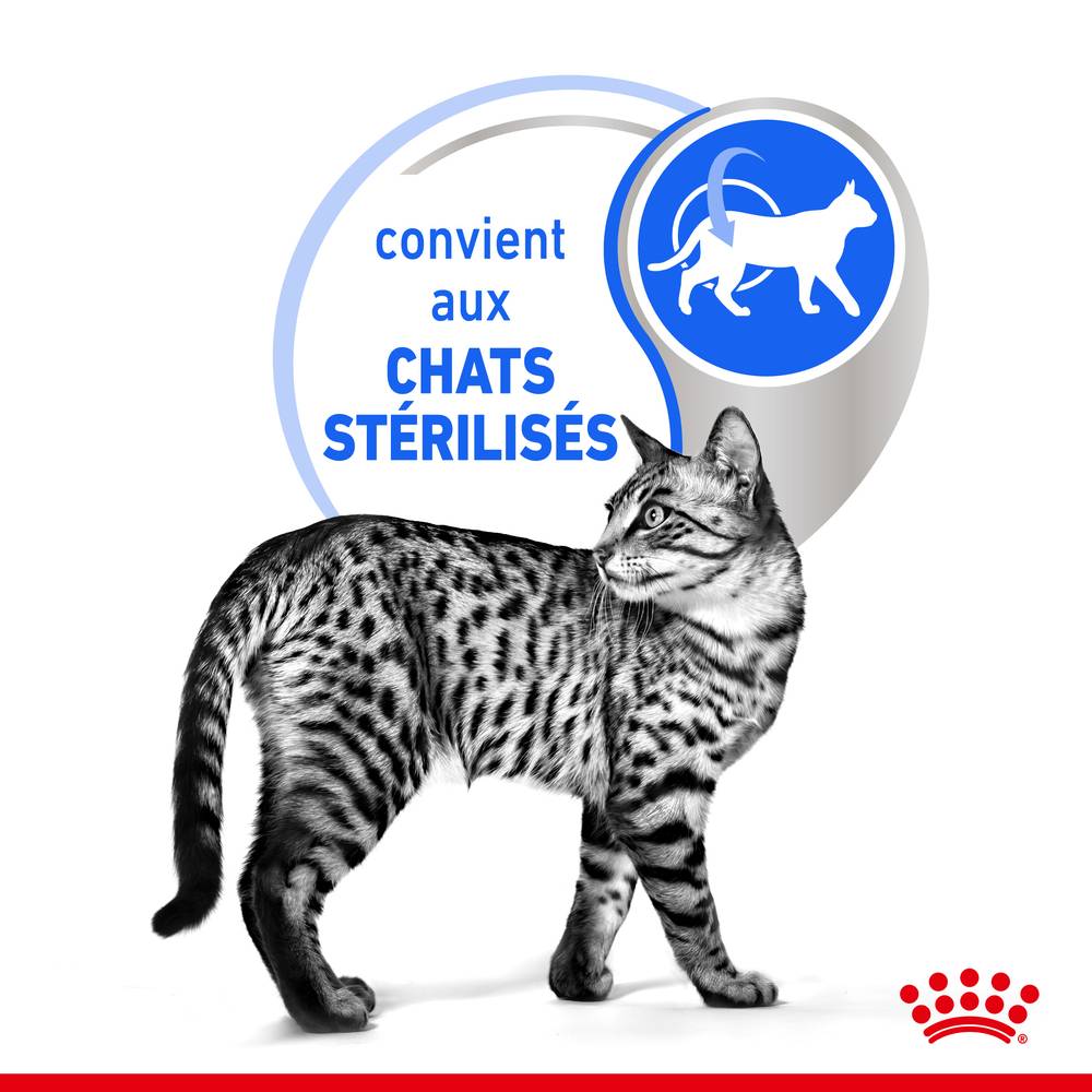 Royal Canin - Mousse chat Adulte intérieur stérilisé 12x85g – ROYAL CANIN - Image 10