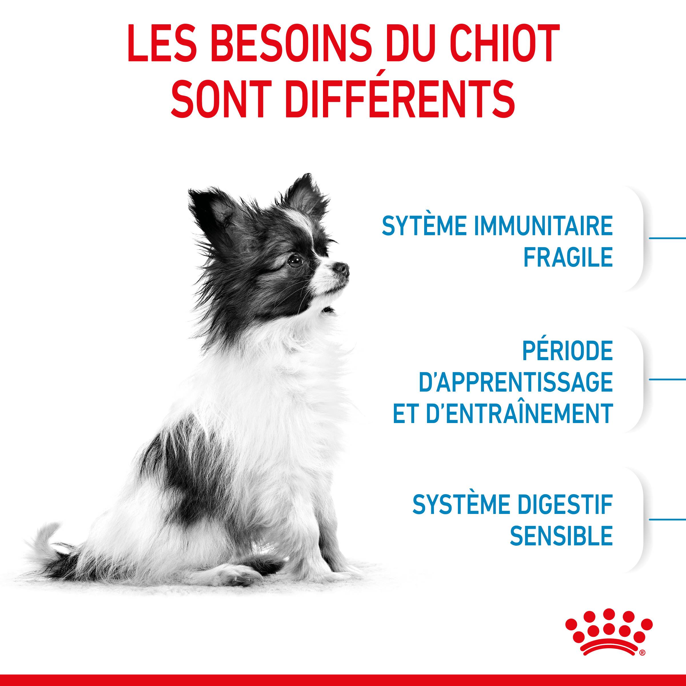 Royal Canin - Croquettes chien Puppy X-Small 500 g – ROYAL CANIN - Image 5