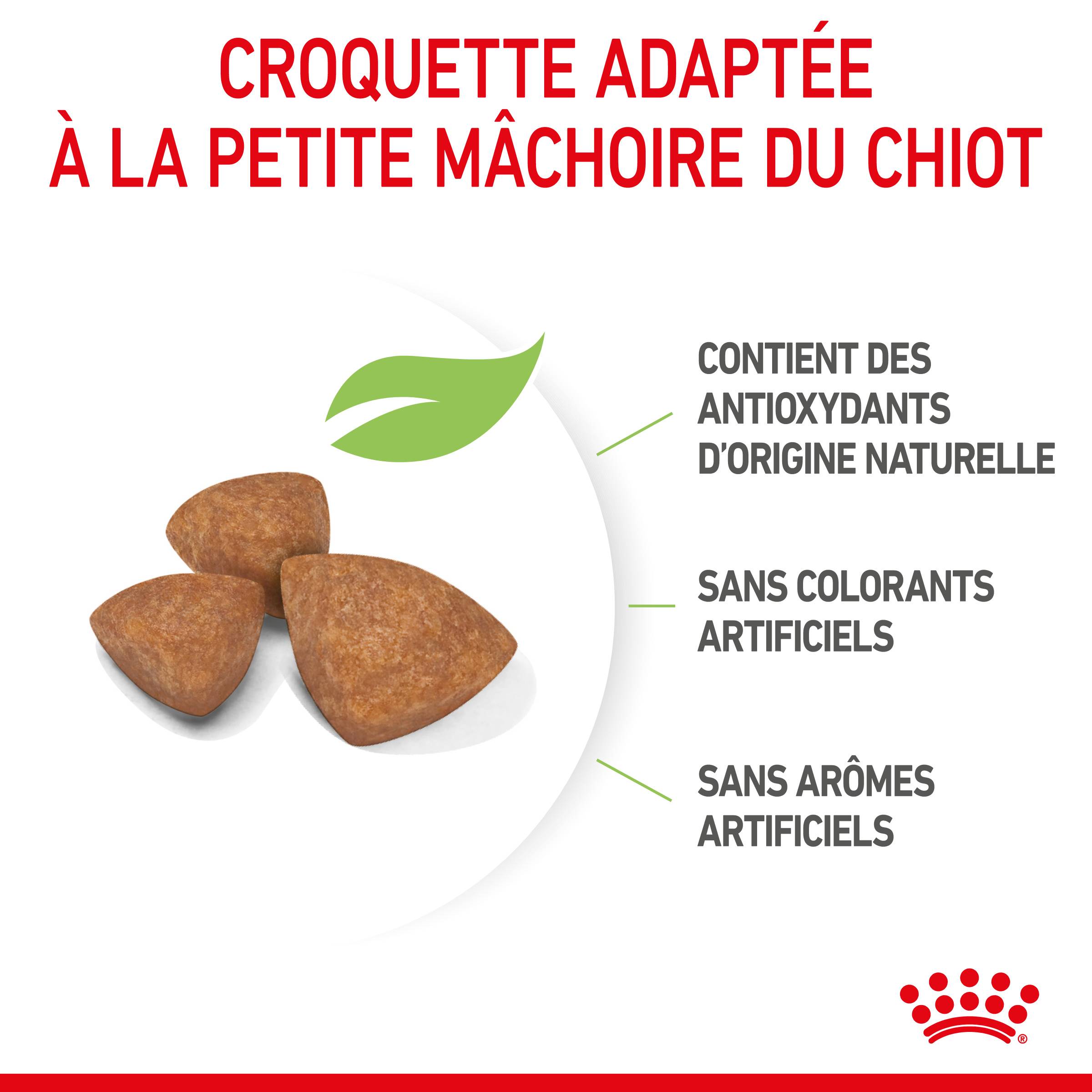 Royal Canin - Croquettes chien Puppy X-Small 500 g – ROYAL CANIN - Image 7