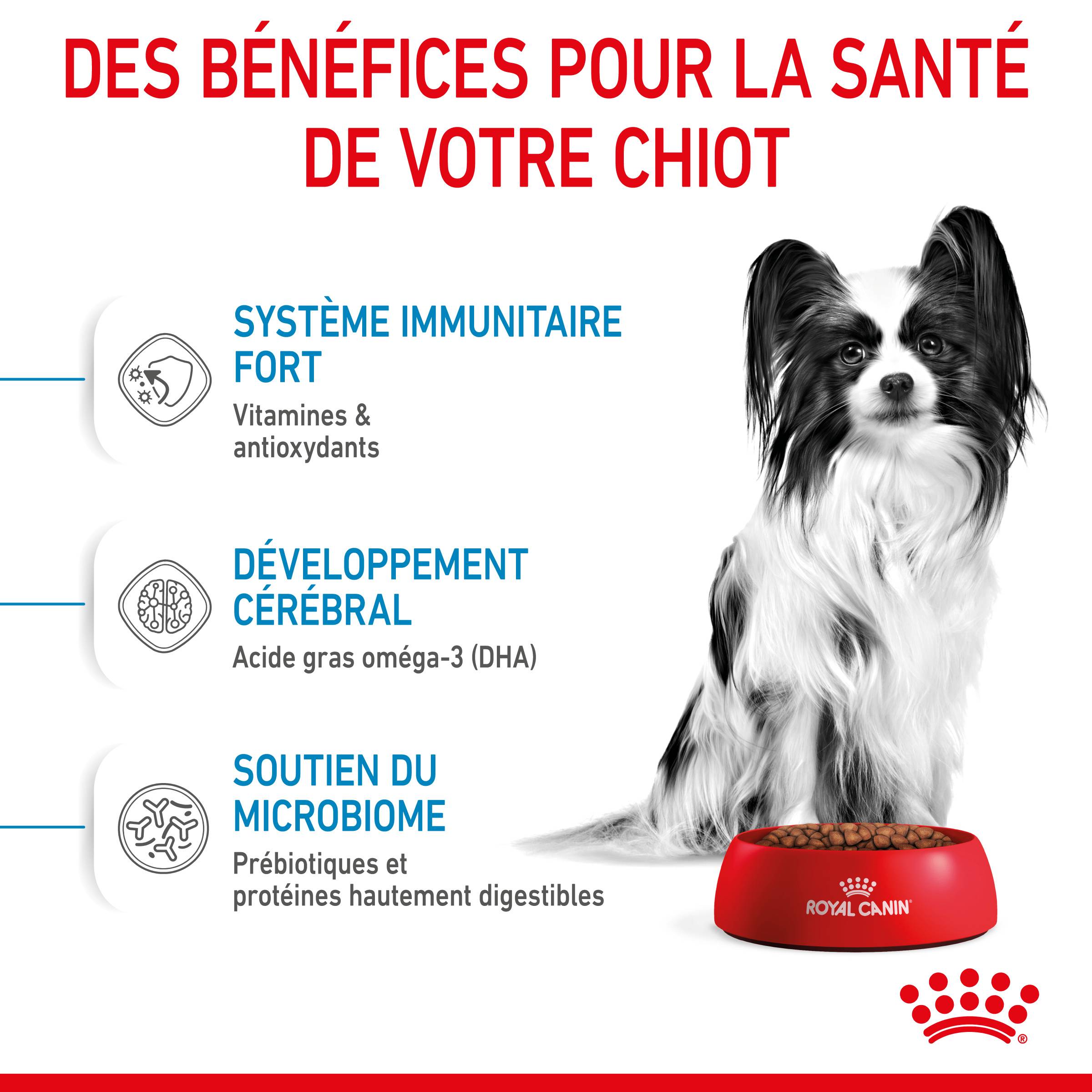 Royal Canin - Croquettes chien Puppy X-Small 500 g – ROYAL CANIN - Image 8