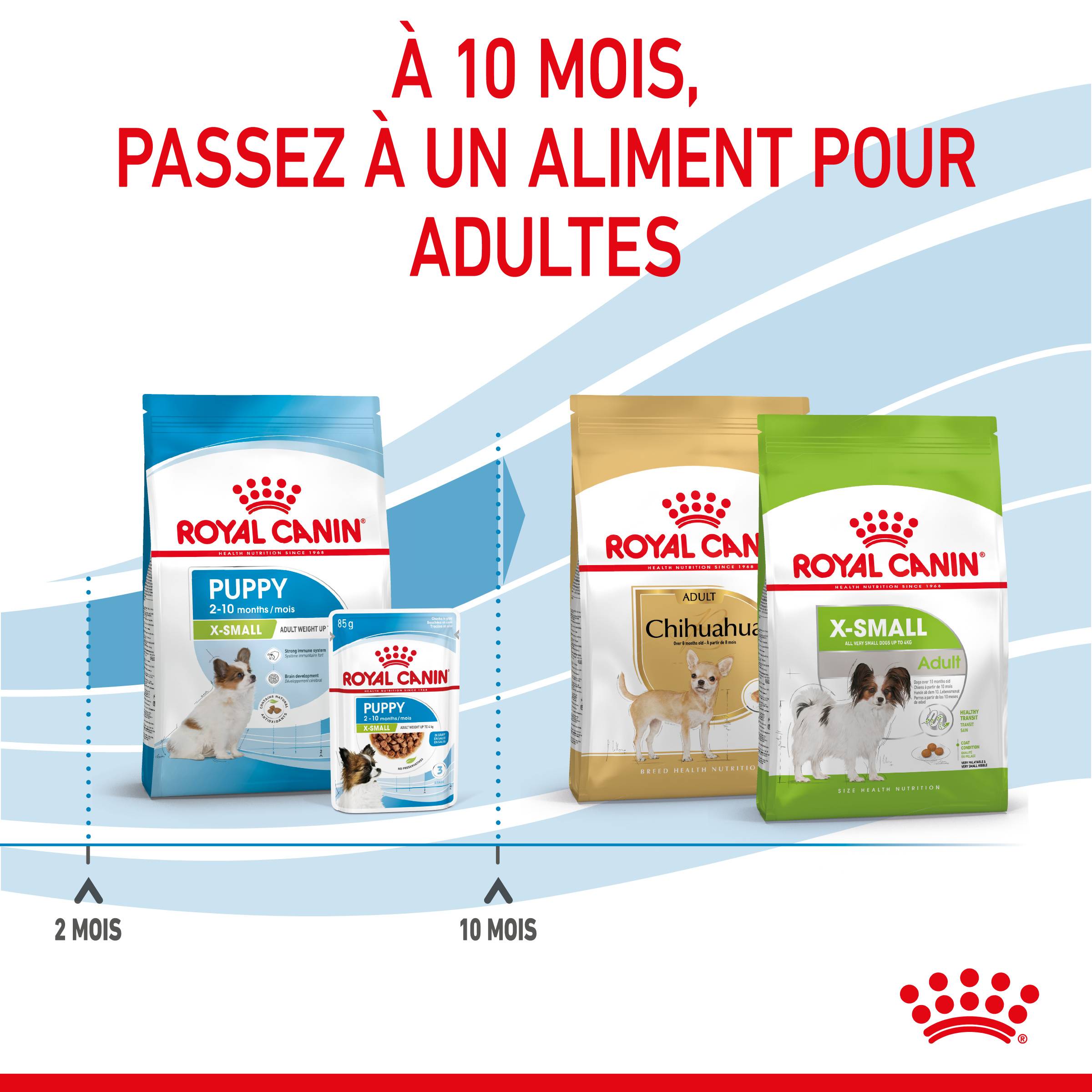 Royal Canin - Croquettes chien Puppy X-Small 500 g – ROYAL CANIN - Image 9