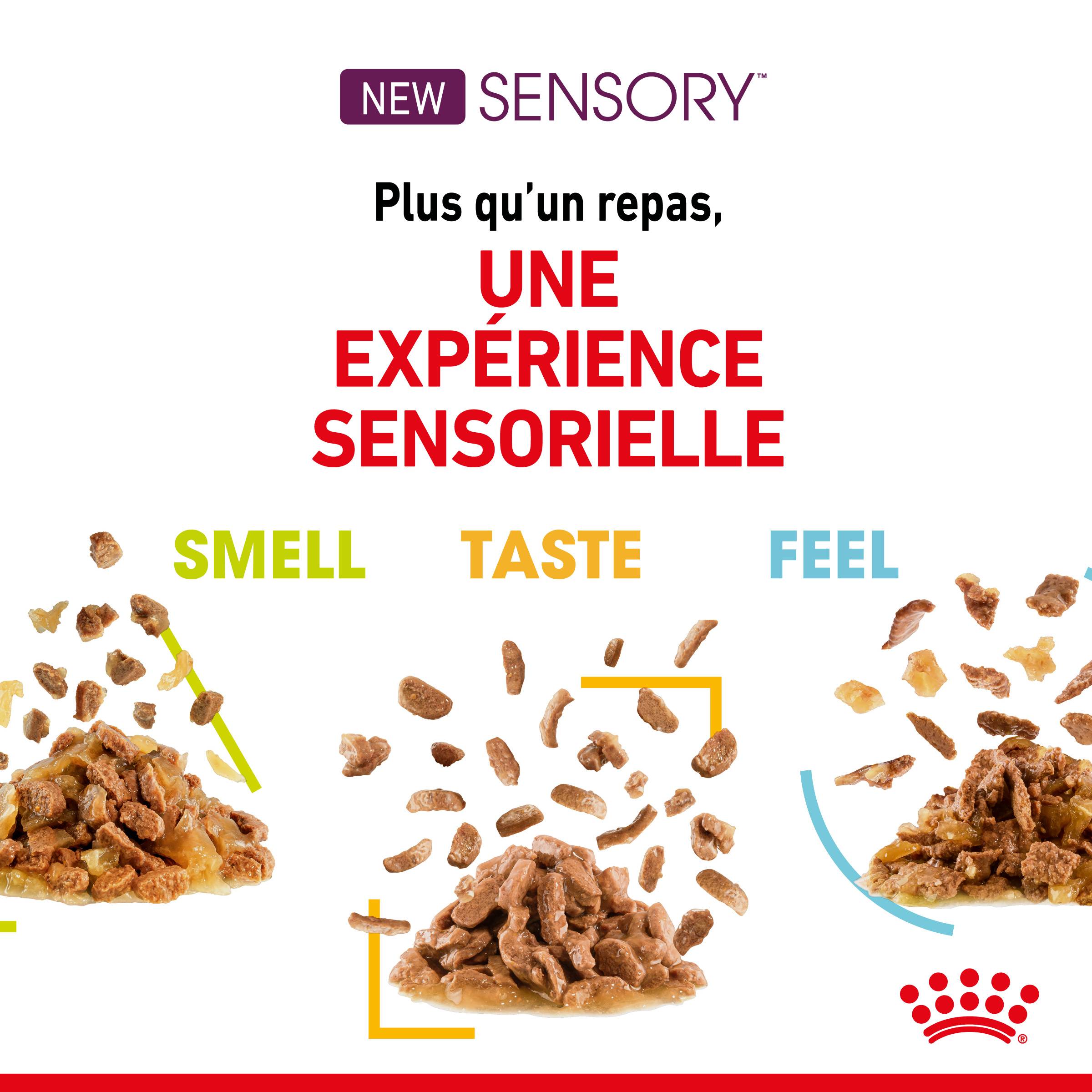 Royal Canin - Aliment complet pour chat stimulation sensorielle – ROYAL CANIN - Imagen 5
