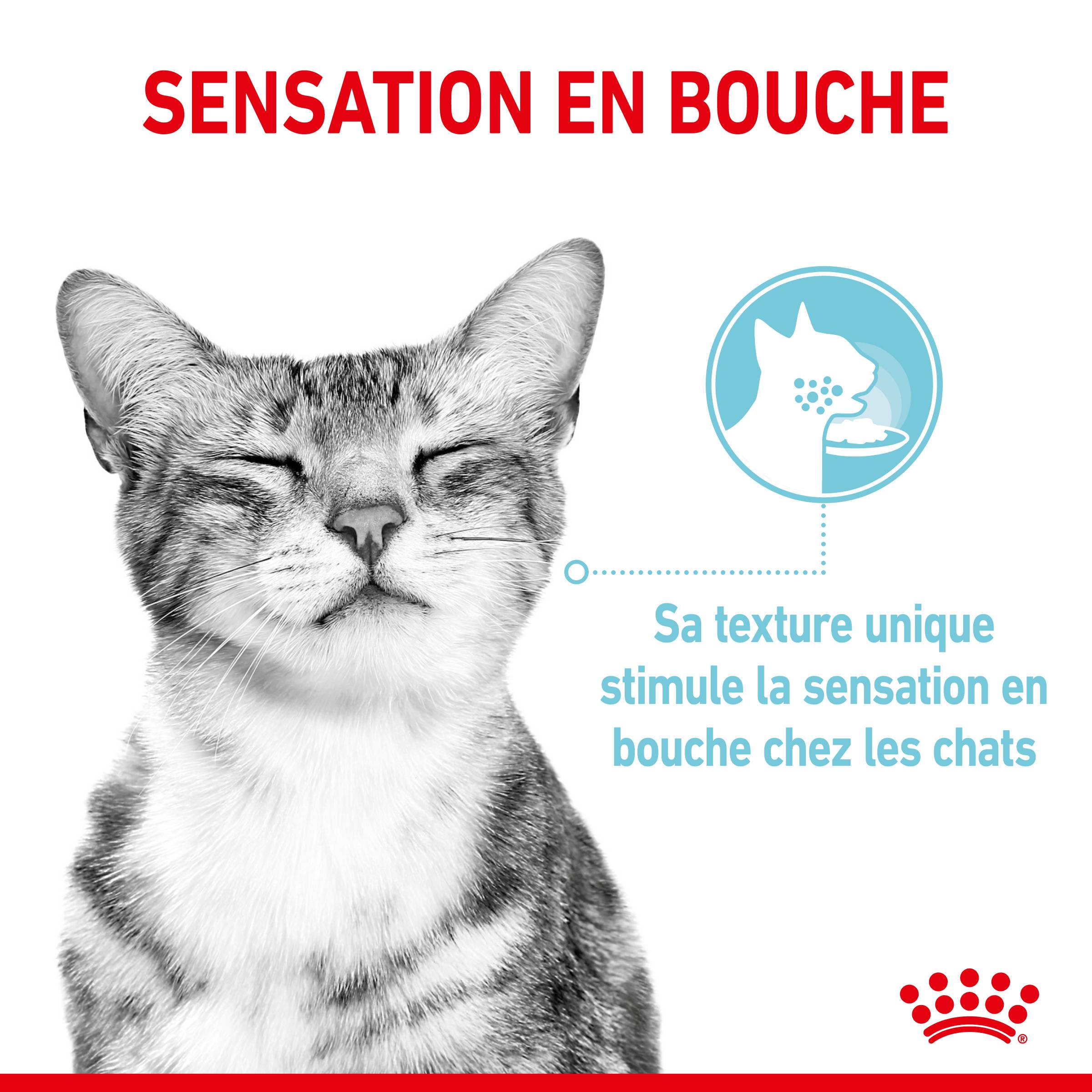 Royal Canin - Aliment complet pour chat stimulation sensorielle – ROYAL CANIN - Imagen 3