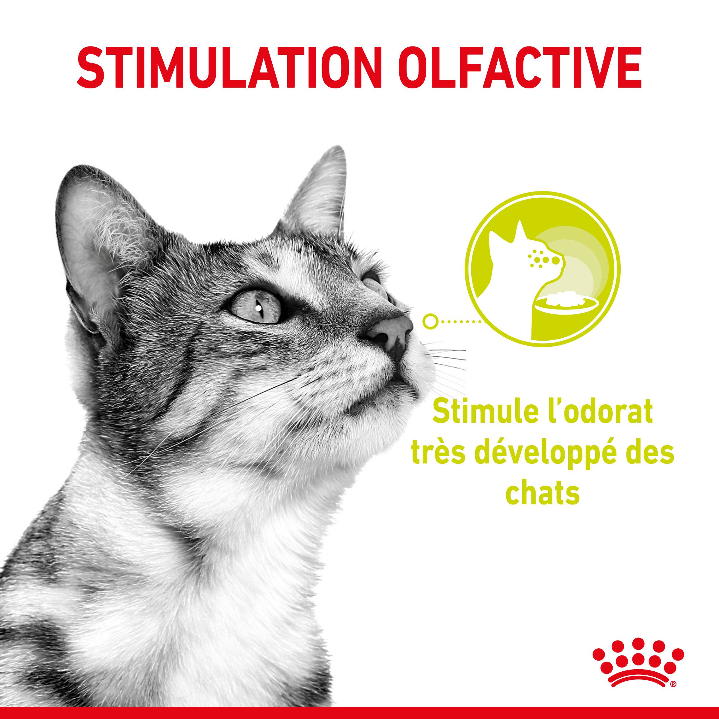 Royal Canin - Aliment complet pour chat stimulation sensorielle – ROYAL CANIN - Imagen 2
