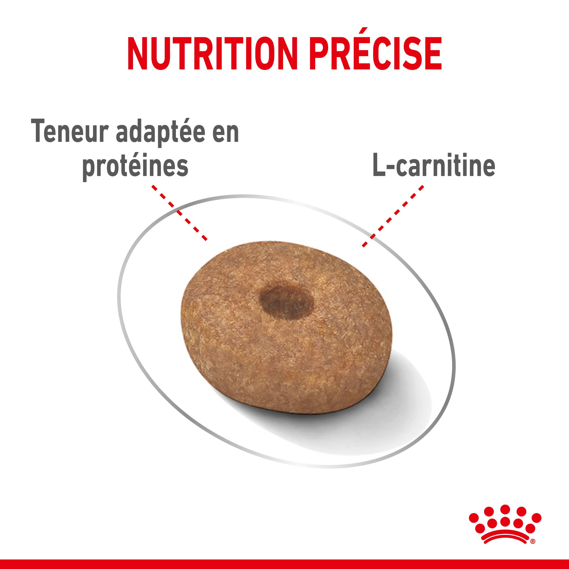 Royal Canin - Croquettes chien MINI LIGHT WEIGHT CARE 1kg - ROYAL CANIN - Image 5