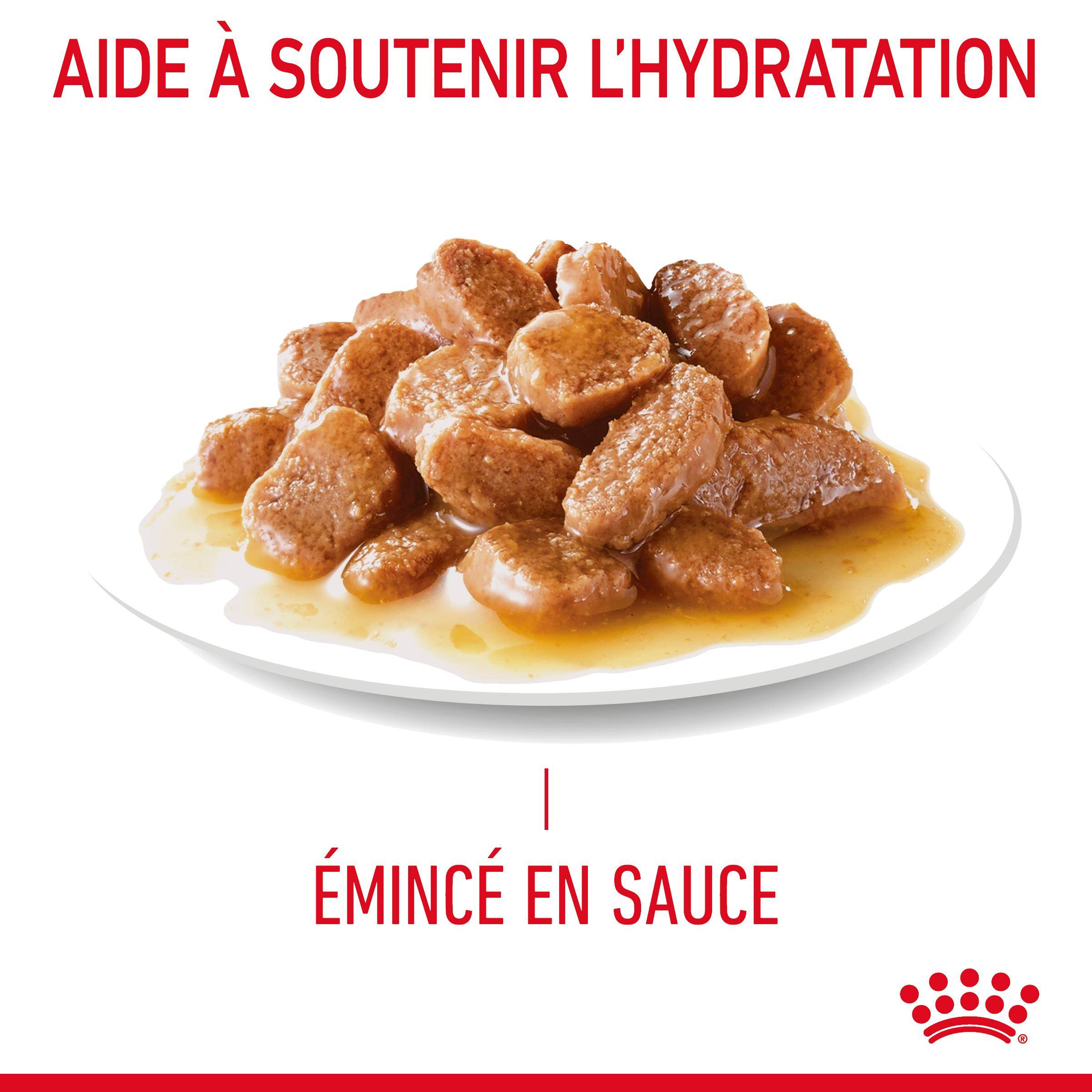 Royal Canin - Aliment chat Hairball Sauce - ROYAL CANIN - Image 11