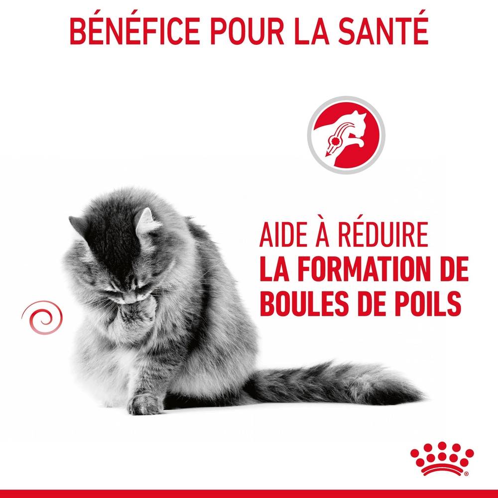 Royal Canin - Aliment chat Hairball Sauce - ROYAL CANIN - Image 12