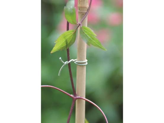 Nortène - Lien en acier plastifié Lien jardin Vert 50 m - NORTENE - Image 1