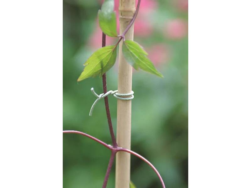 Nortène - Lien en acier plastifié Lien jardin Vert 50 m - NORTENE - Imagen 1