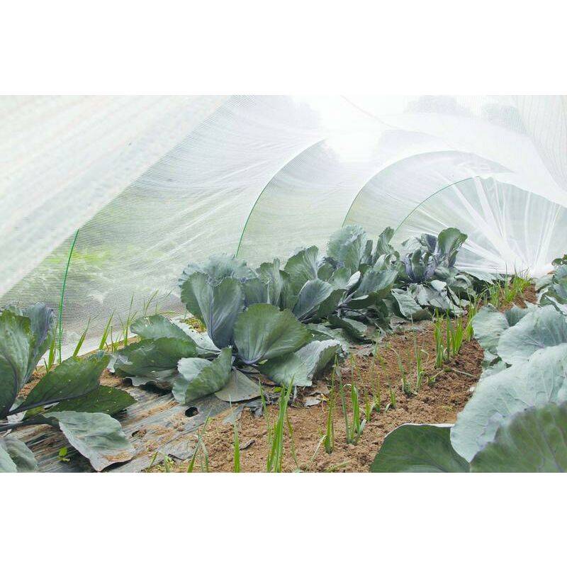 Nortène - PROTEC Filet thermique anti-insecte blanc 4x6m - Imagen 4