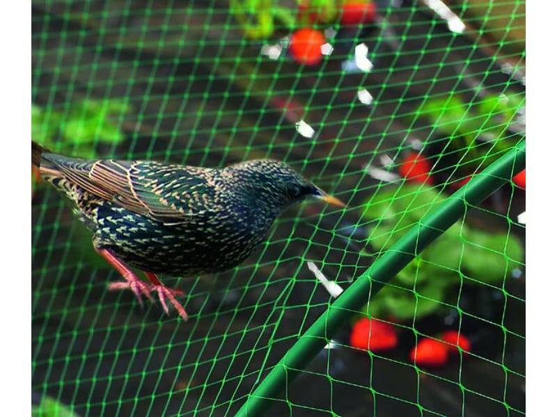 Nortène - BIRDNET  Filet de protection oiseaux PE vert 4x6m