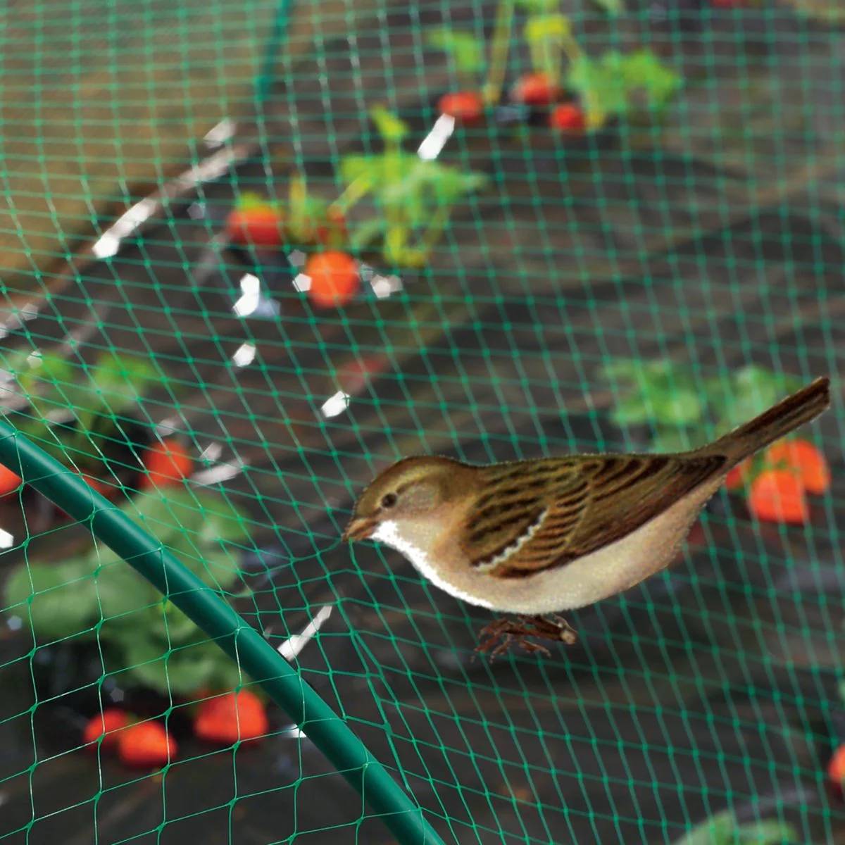 Nortène - BIRDNET  Filet de protection oiseaux PE vert 4x6m - Imagen 4