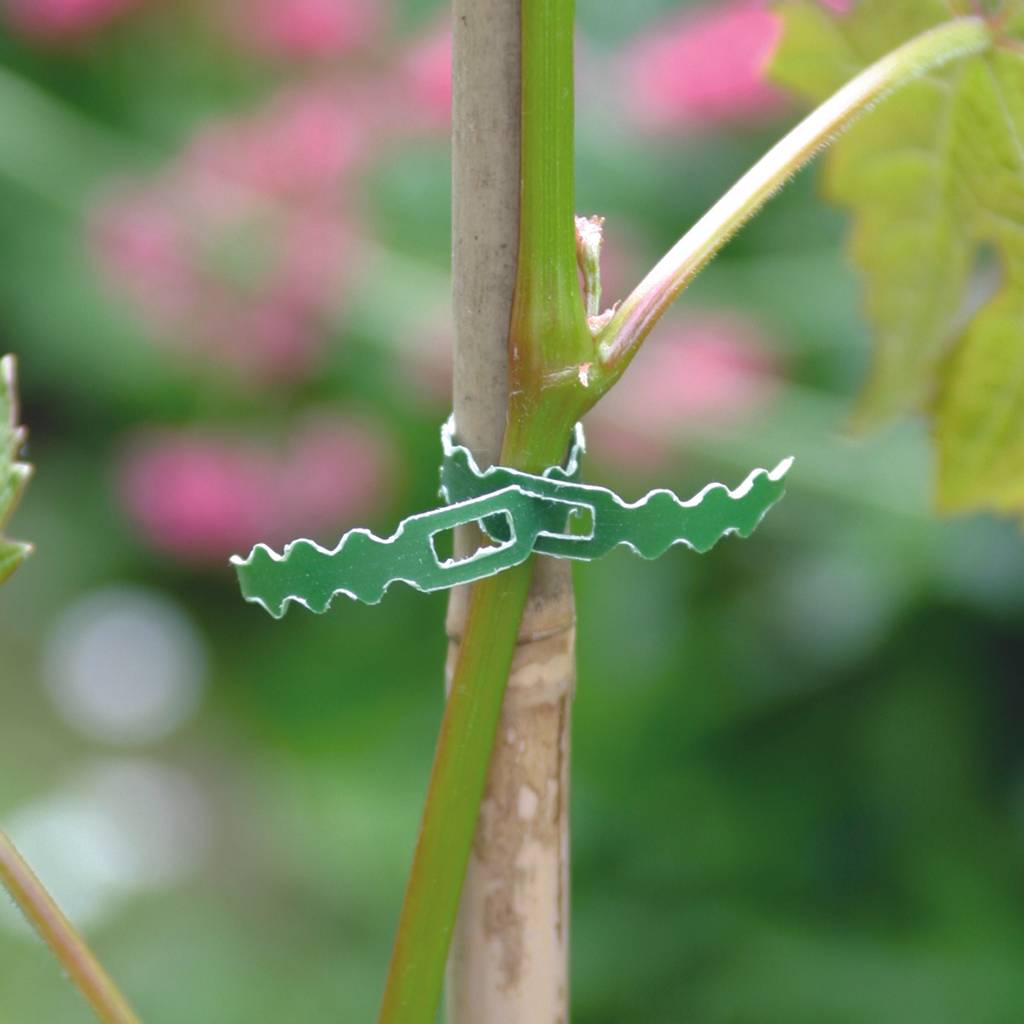 Nortène - Lien de fixation Acier Plastifié Vert 25 m - NORTENE - Image 2