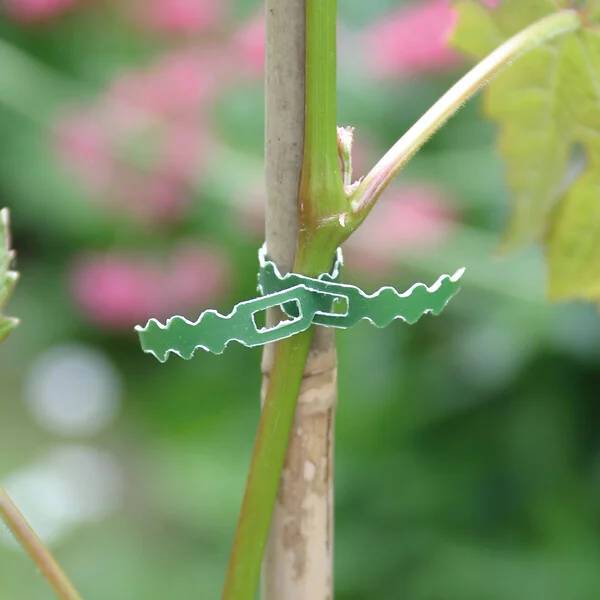 Nortène - Lien de fixation Acier Plastifié Vert 25 m - NORTENE - Image 3