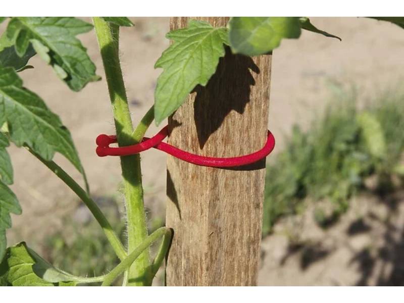 Nortene - Clips pour pieds de tomates plastique rouge 6,2 cm – NORTENE - Image 2