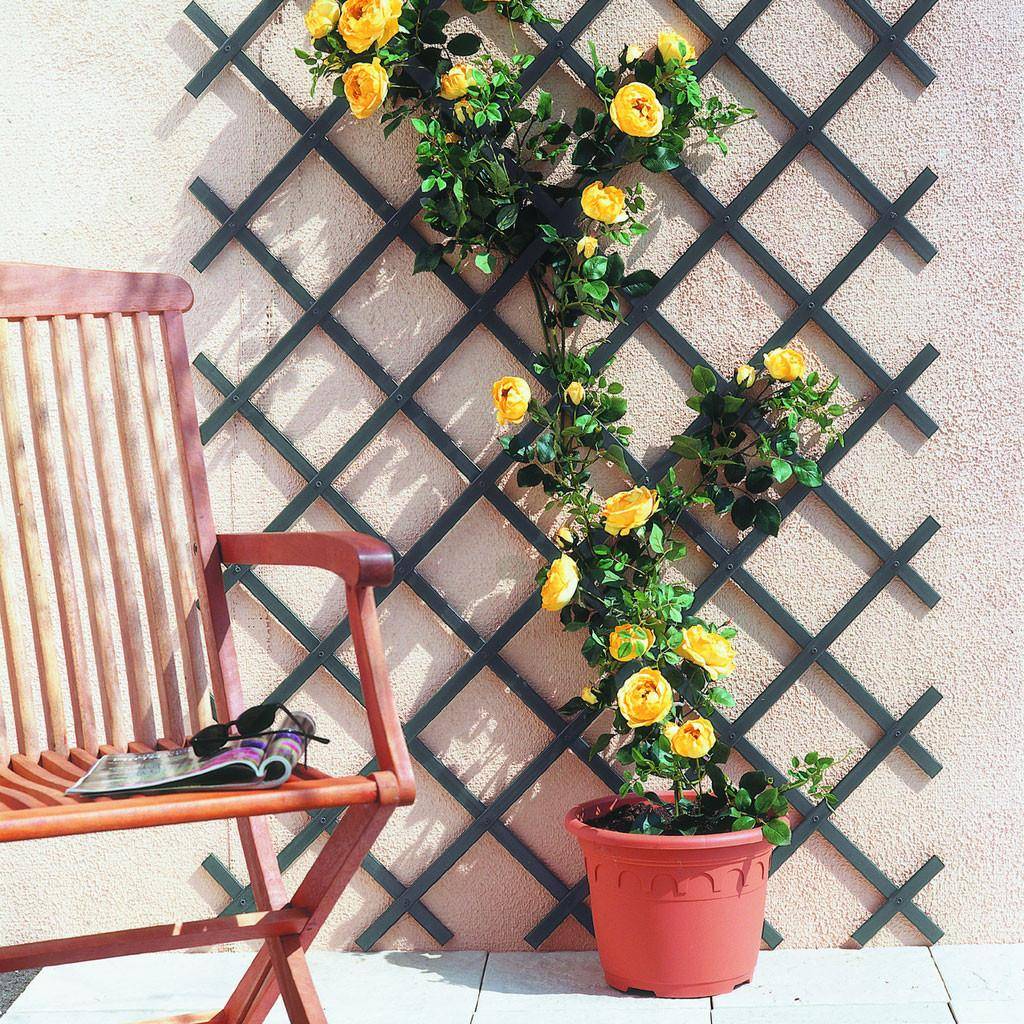 TRELLIFLEXTrellis extensible PVC Gris Ardosa 1x2m - Imagen 4