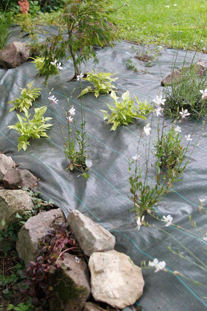 Nortène - WEEDSOL Toile de paillage  vert 1,25x100m - Imagen 2
