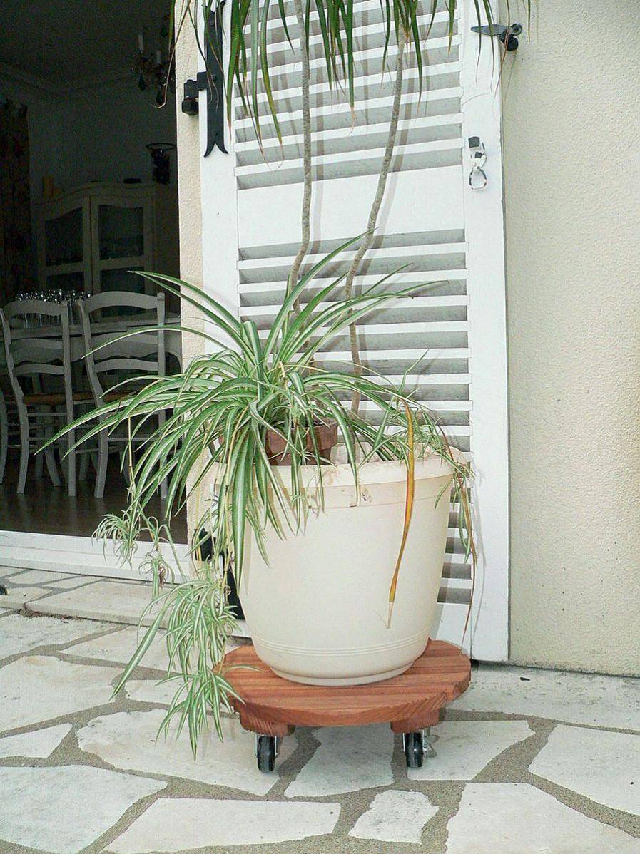 Nortene - Support à roulettes bois lasuré rond Ø 40 cm – NORTENE - Imagen 5