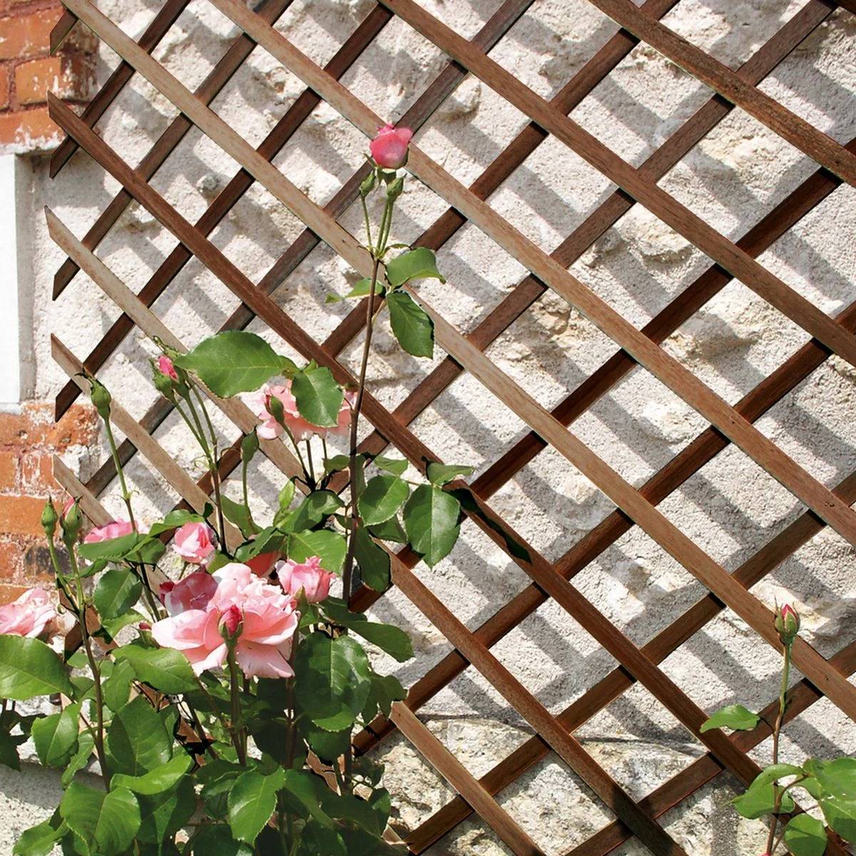 Nortène - TRELLIWOOD Trellis extensible bois FSC Marron 1x2m - Imagen 3