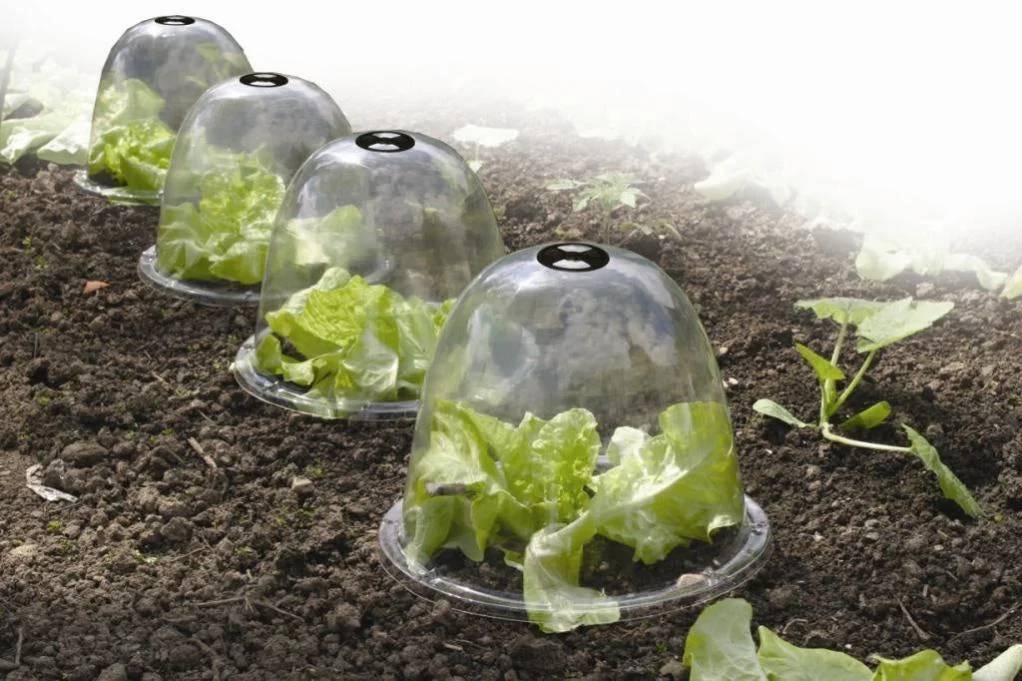 Nortène - BELL Lot 3 cloches transparente PVC transparent Ø 0,25m - Imagen 2