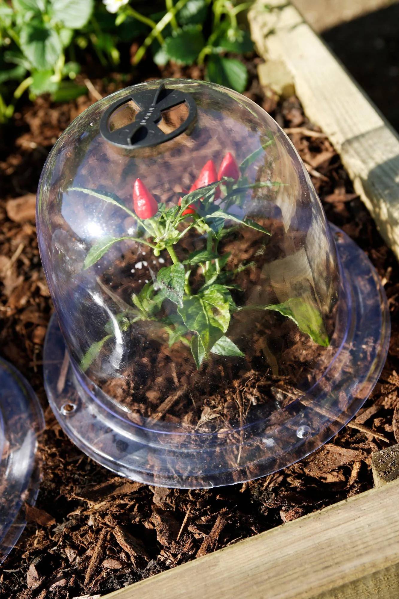 Nortène - BELL Lot 3 cloches transparente PVC transparent Ø 0,25m - Imagen 3