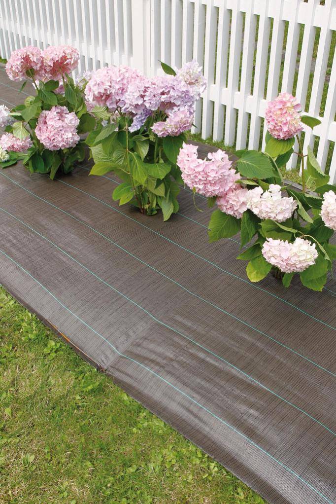 Nortène - WEEDSOL Toile de paillage  Marron 1,25x25m - Imagen 2