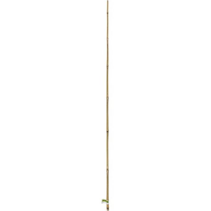Nortène - Lot de 6 tuteurs bambou naturel - NORTENE - Image 1