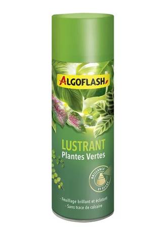 Algoflash - Lustrant plantes vertes aérosol 250 mL - Algoflash