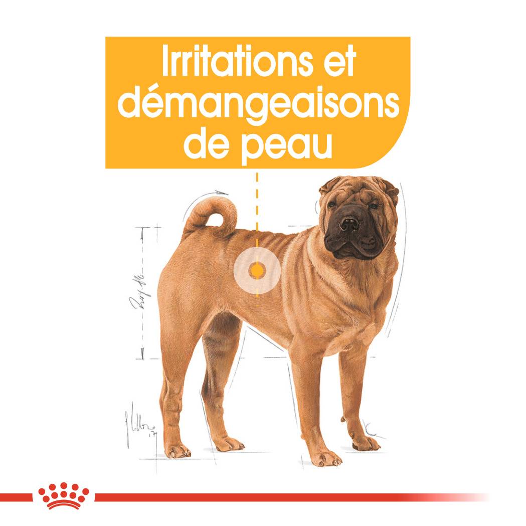 Royal Canin - Croquettes Chien Dermacomfort ROYAL CANIN - Image 3