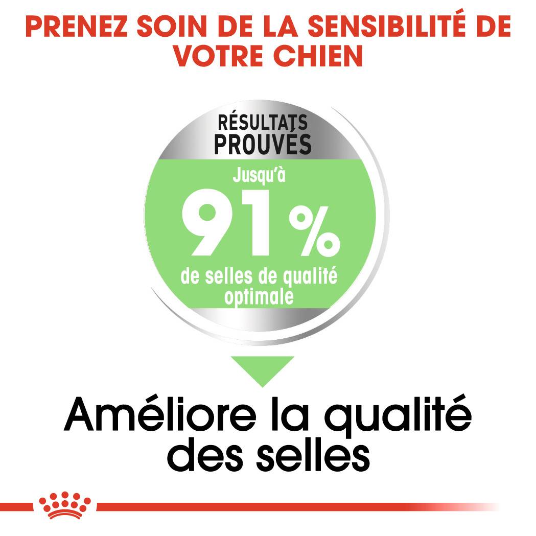 Royal Canin - Croquettes Medium Digestive Care - ROYAL CANIN - Image 4