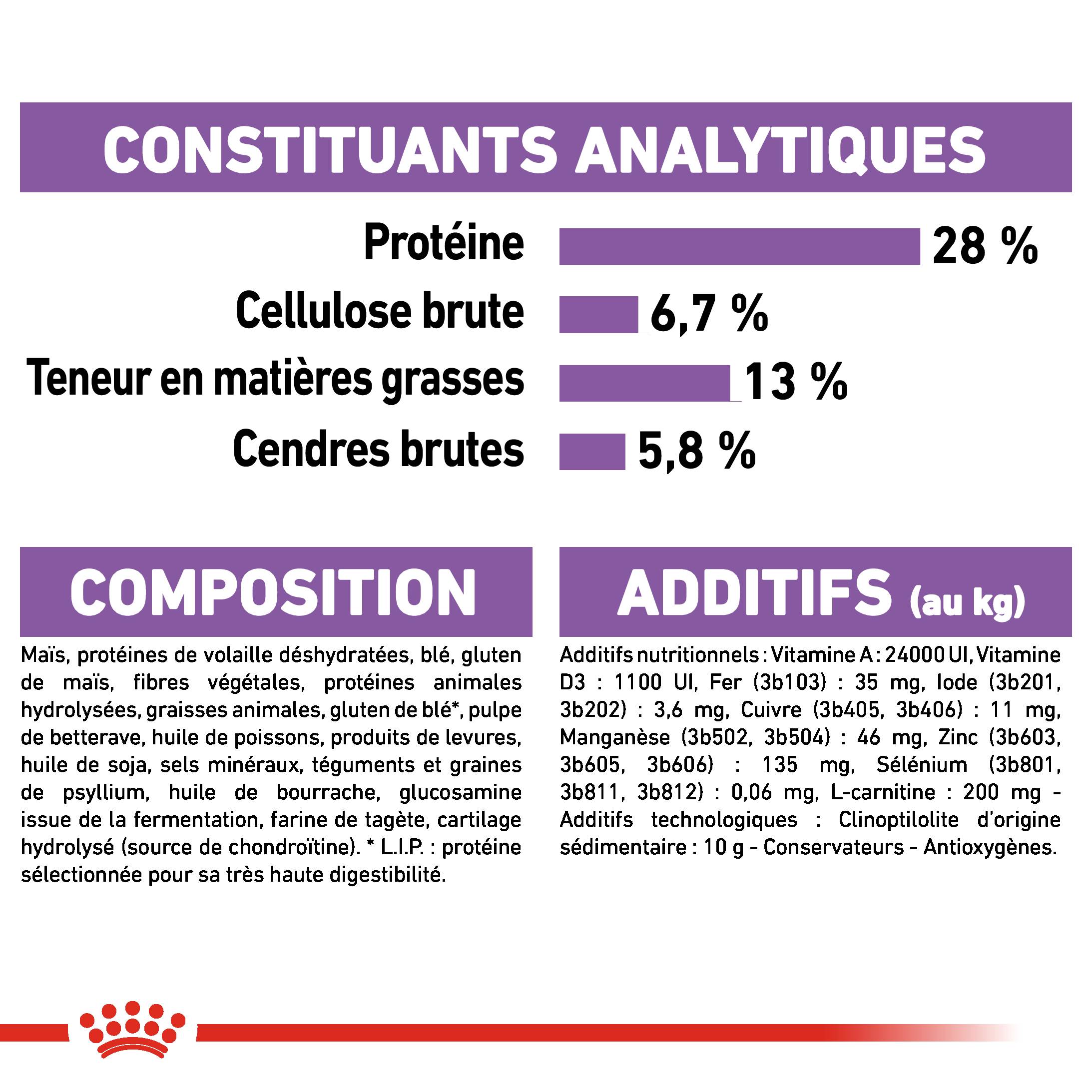 Royal Canin - Croquettes pour chien Care Maxi Sterilised - ROYAL CANIN - Image 8