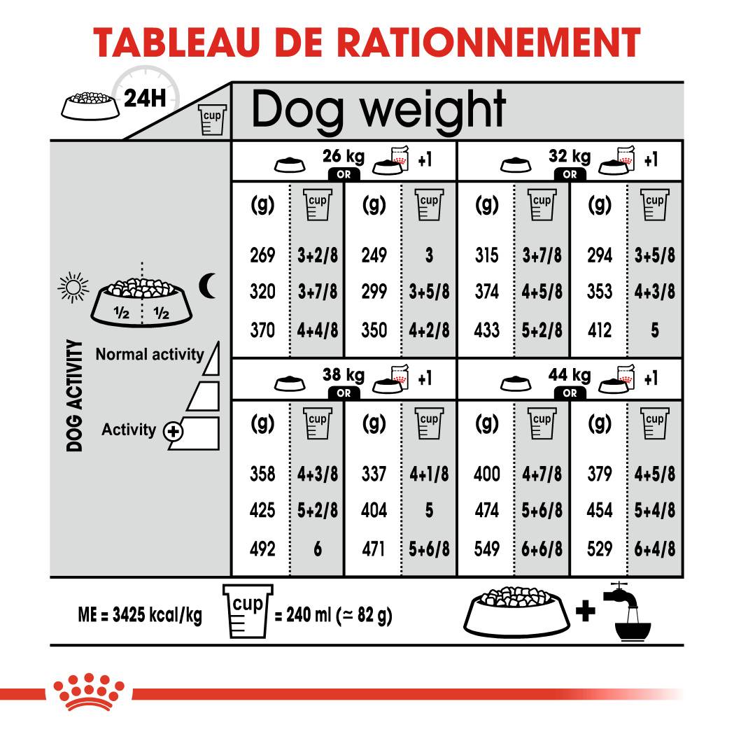 Royal Canin - Croquettes pour chien Care Maxi Sterilised - ROYAL CANIN - Image 3