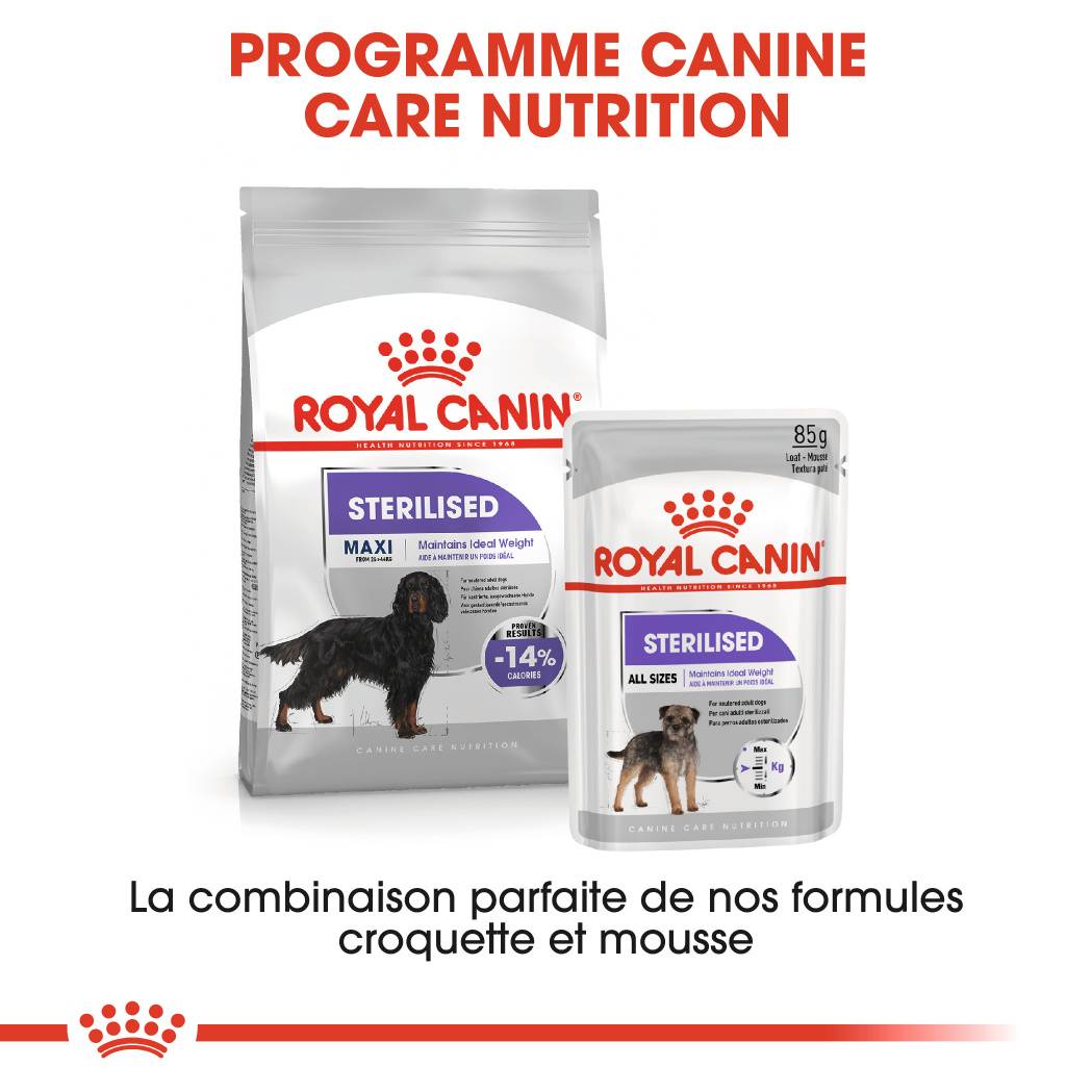 Royal Canin - Croquettes pour chien Care Maxi Sterilised - ROYAL CANIN - Image 7