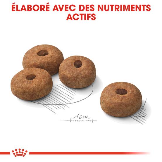Royal Canin - Croquettes pour chien Care Maxi Sterilised - ROYAL CANIN - Image 9