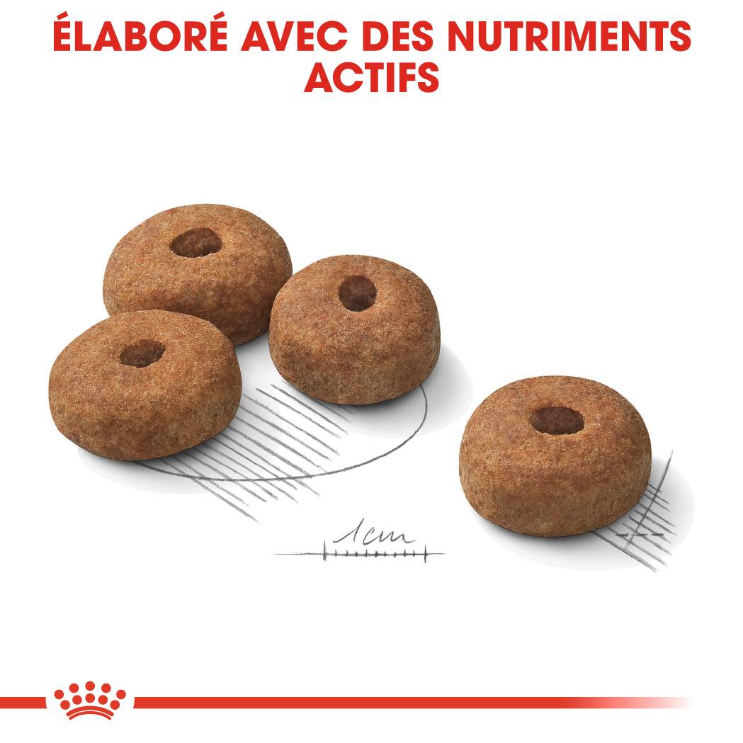 Royal Canin - Croquettes pour chien Care Maxi Sterilised - ROYAL CANIN - Image 9