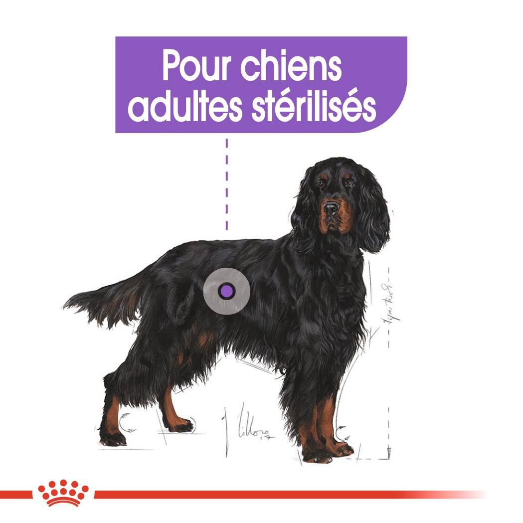Royal Canin - Croquettes pour chien Care Maxi Sterilised - ROYAL CANIN - Image 6