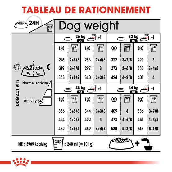 Royal Canin - Croquettes Pour Chien - ROYAL CANIN - Image 4