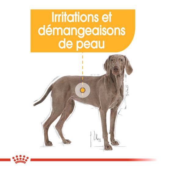Royal Canin - Croquettes Pour Chien - ROYAL CANIN - Image 8