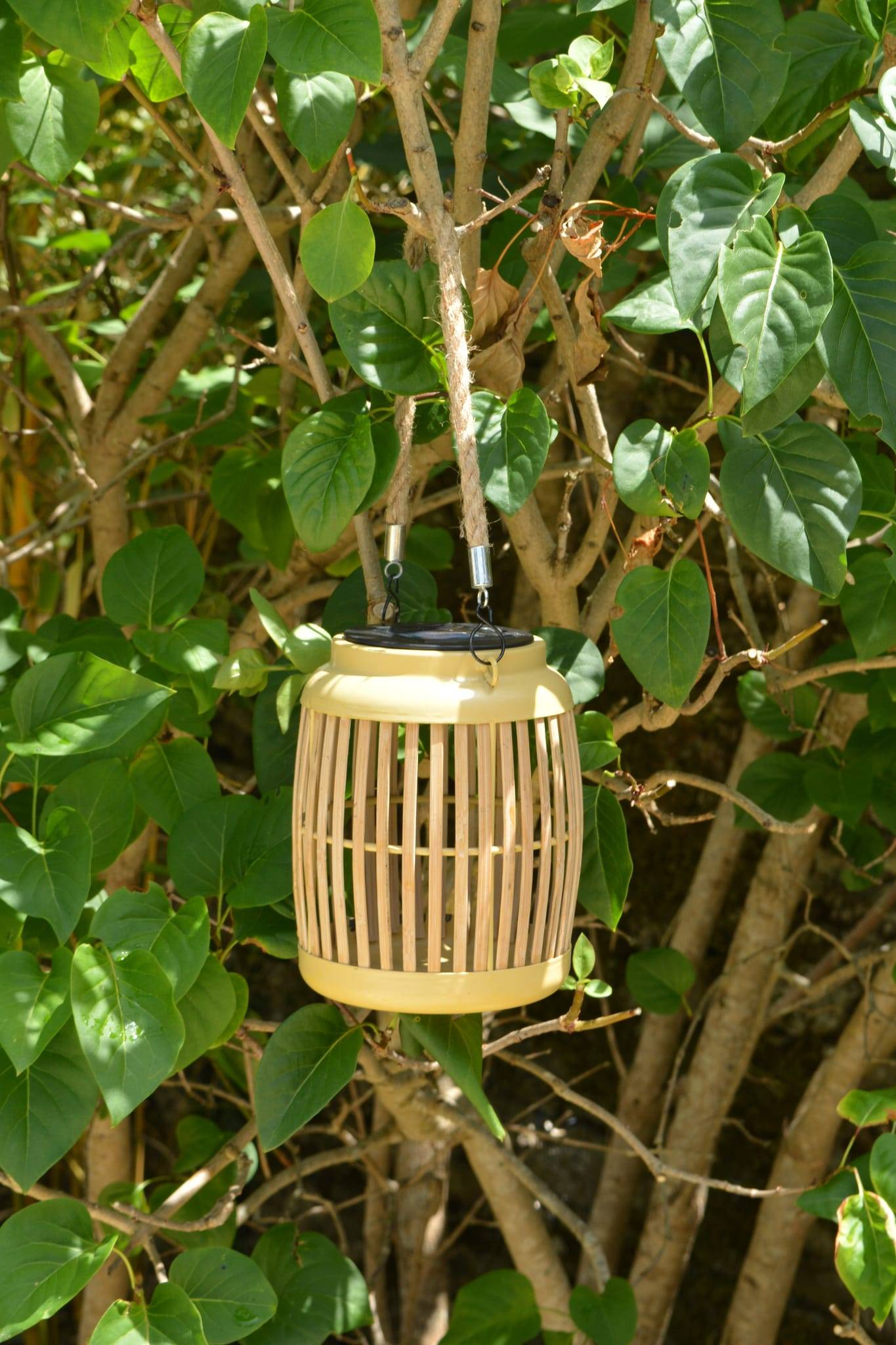 Lanterne solaire Bambou LED Ambre - Jaune H.32 cm - Image 2