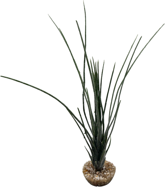 Labéo - Plante artificielle Tillandsia - H.25 cm - Labéo