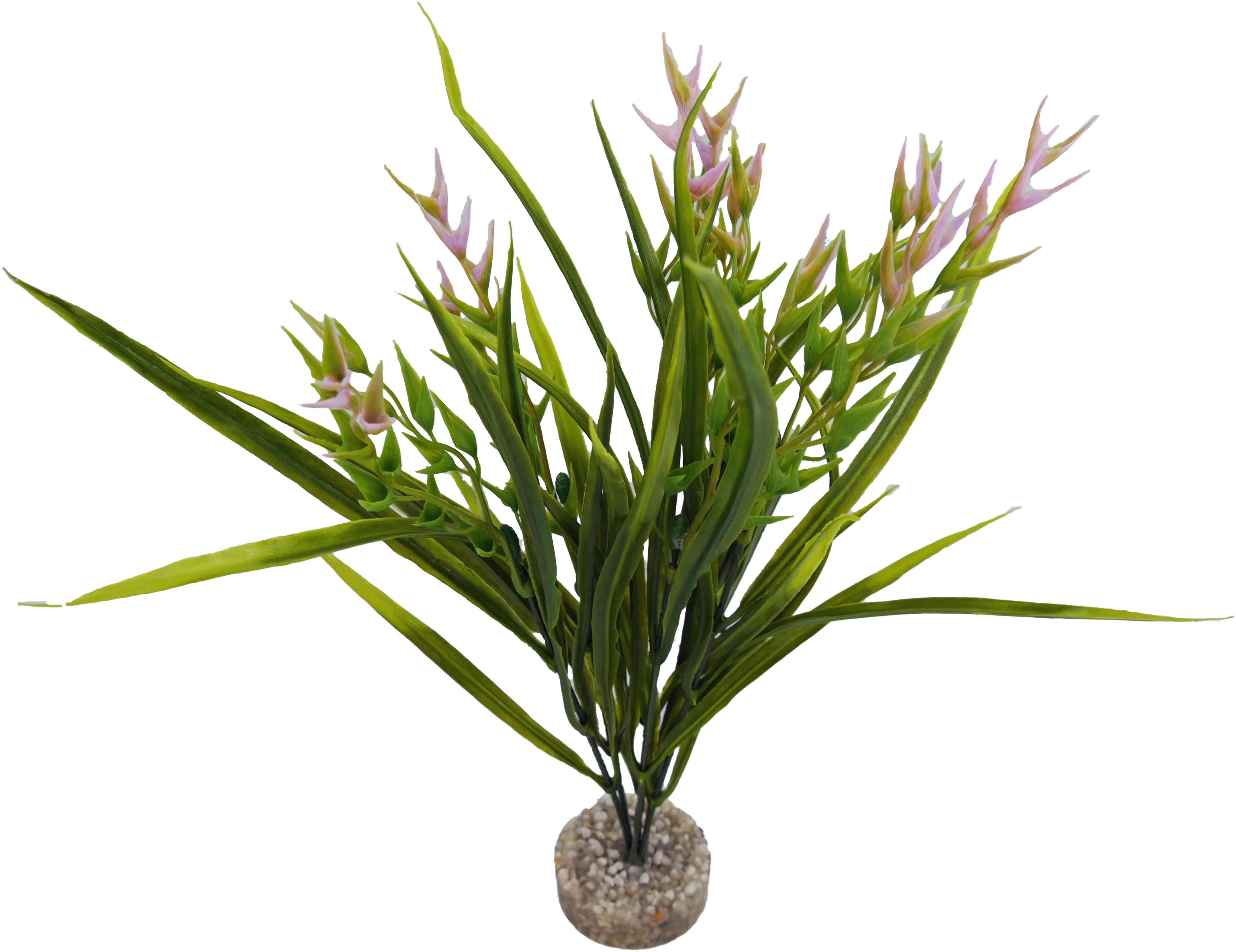 Labéo - Labéo - Décor artificiel Tillandsia Vert et Rose - Ø.30 x H.28 cm