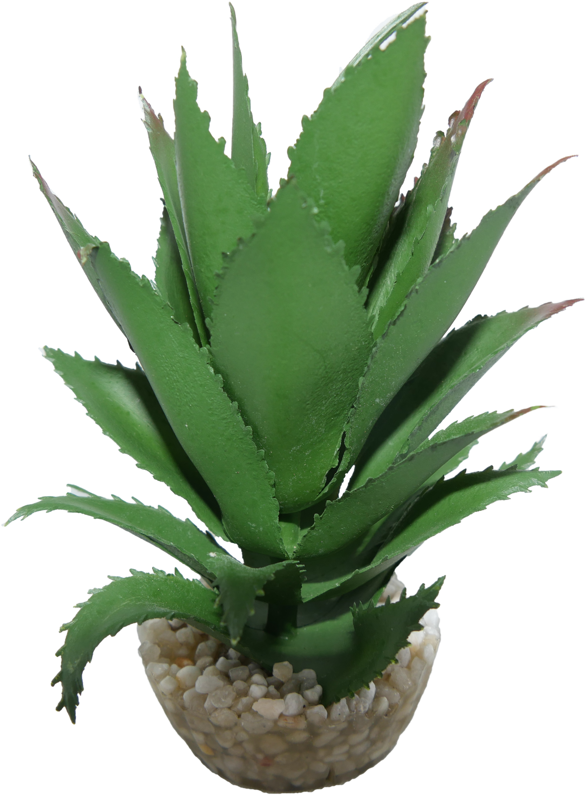 Labéo - Décor Ananas - H.12 cm - Labéo
