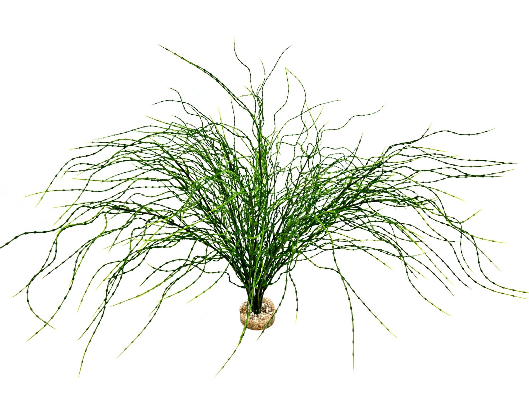 Labéo - Plante artificielle Psilotum GM vert - H. 44 cm - Labéo