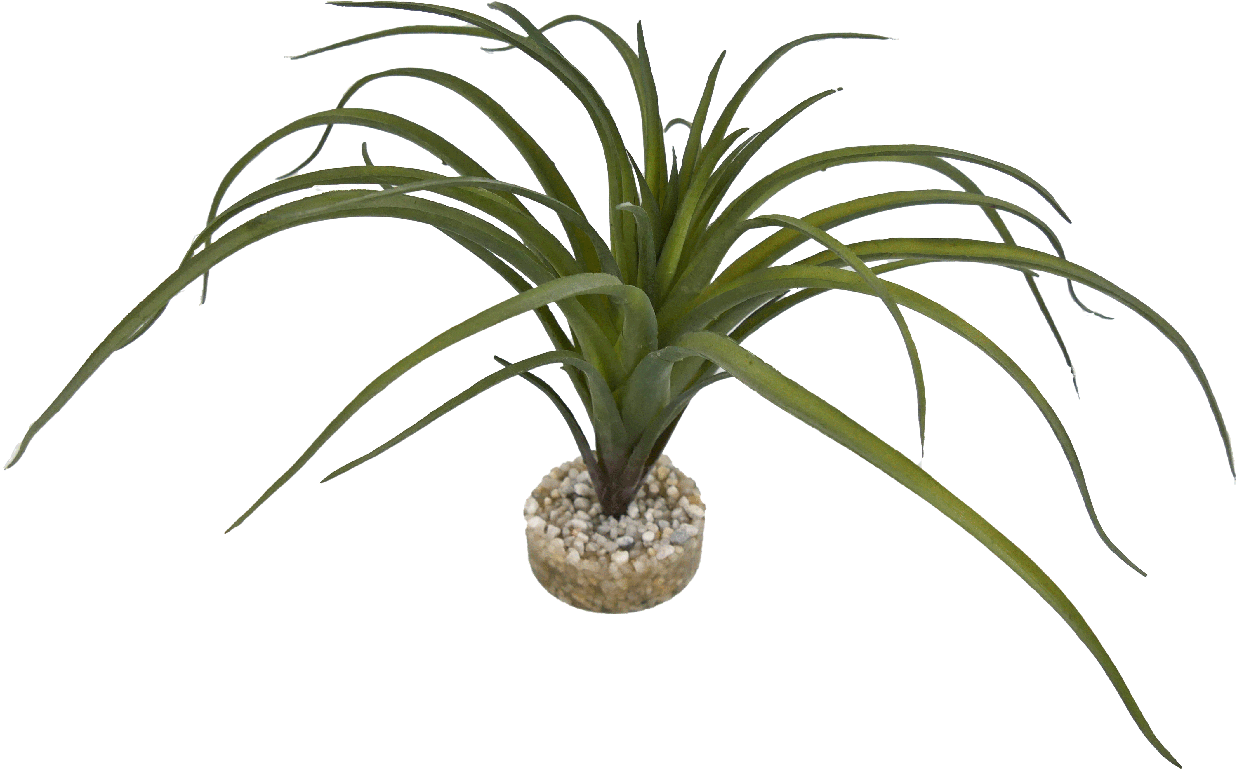 Labéo - Plante artificielle Tillandsia vert - H.16 cm - Labéo