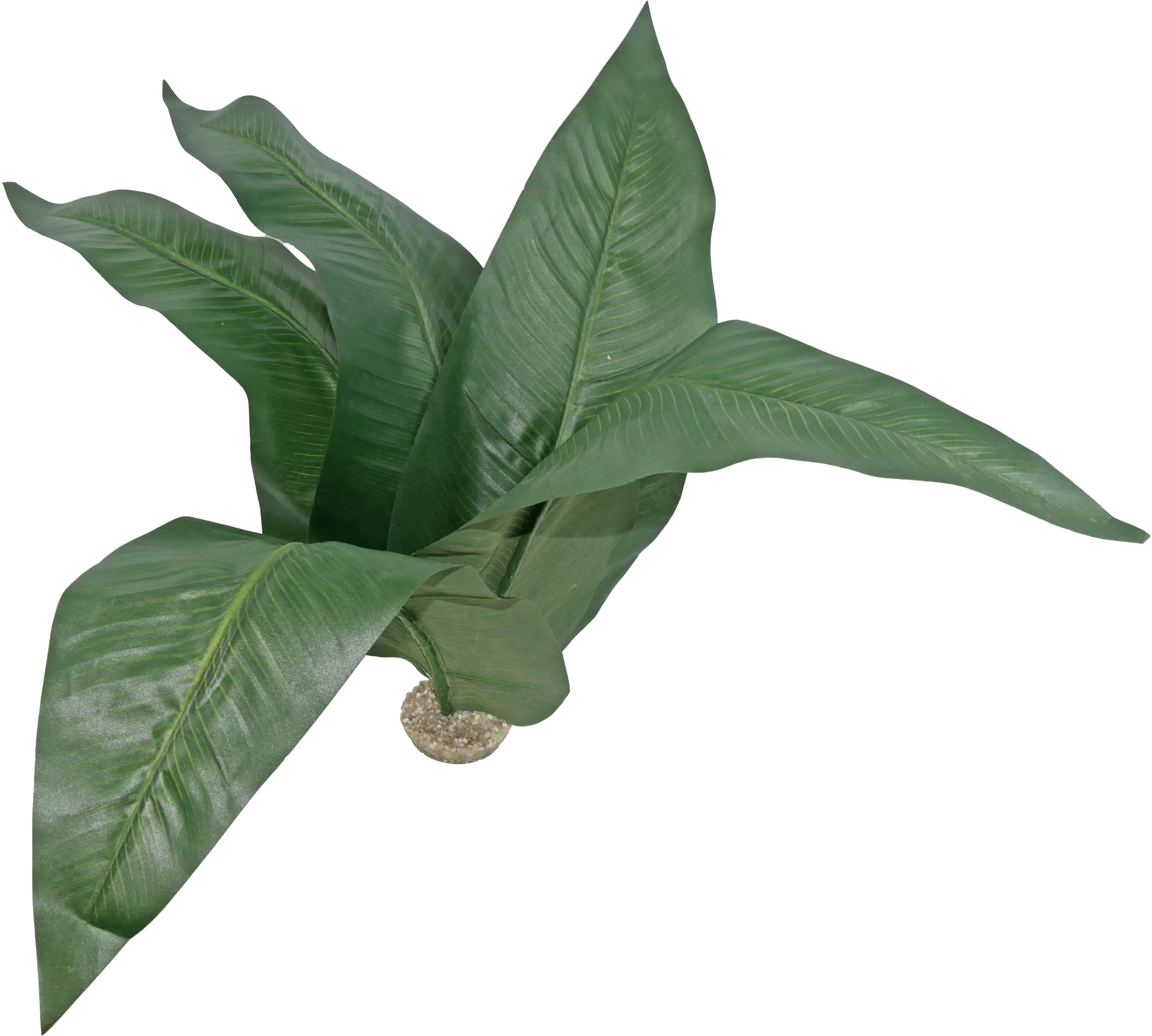 Labéo - Décor Strelitzia artificiel vert - H.52 cm - Labéo
