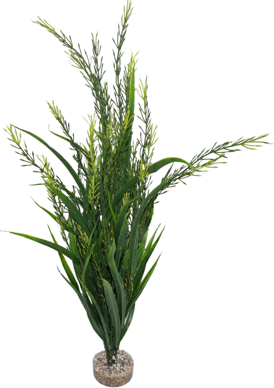 Labéo - Plante artificielle Elodea grand modèle - H.46 cm - Labéo