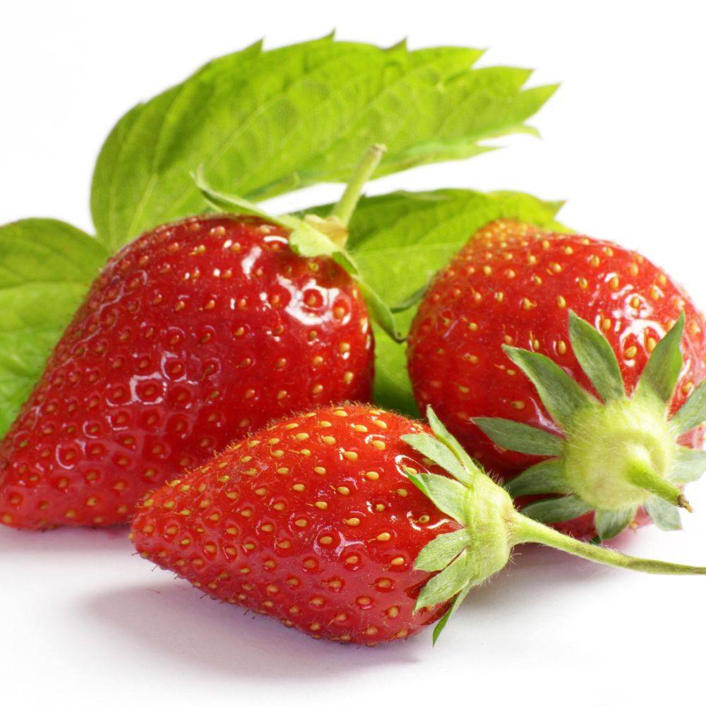 Fraisier 'Ciflorette' - Image 1