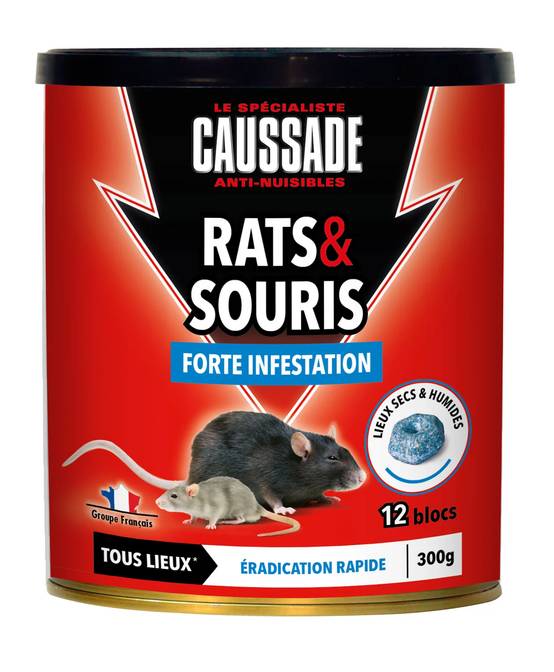 Caussade - Bloc Pâte Rats Et Souris – CAUSSADE