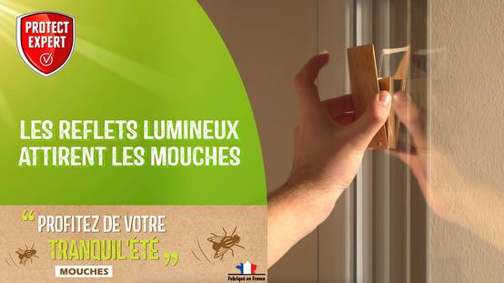 Protect Expert - Sticker Mouches - PROTECT EXPERT - Image 7